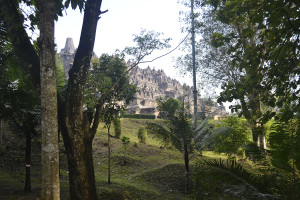 Borobudur1